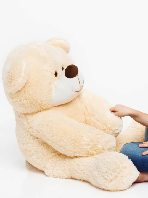 Sweet Bear