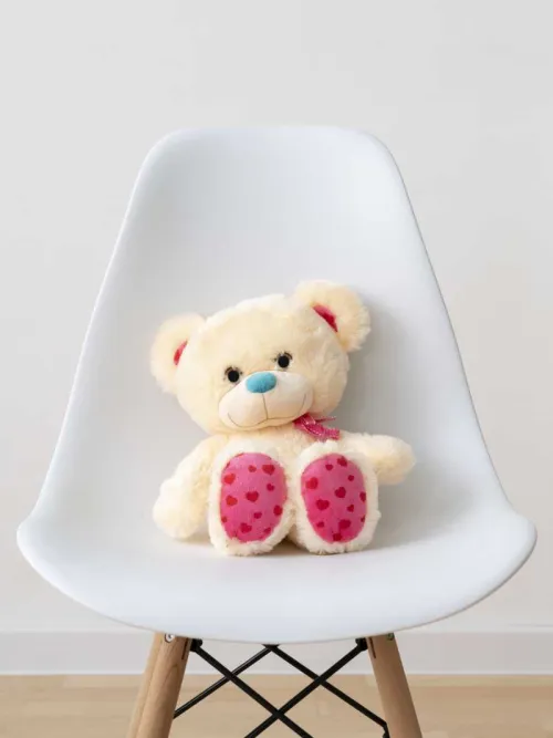 Cute little bear