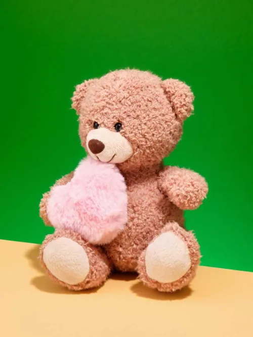 Rose heart brown teddy